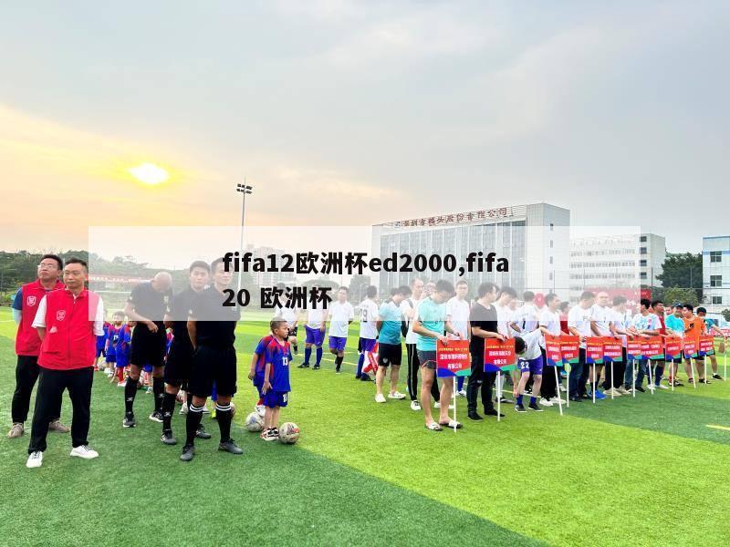 fifa12欧洲杯ed2000,fifa20 欧洲杯-第1张图片-