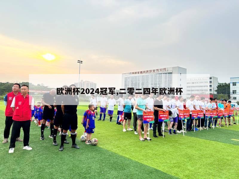 欧洲杯2024冠军,二零二四年欧洲杯-第1张图片-