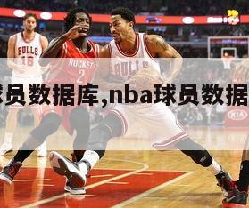 nba球员数据库,nba球员数据库2023-第1张图片-