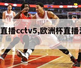 欧洲杯直播cctv5,欧洲杯直播法国VS荷兰-第1张图片-