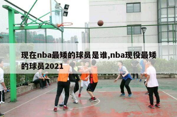 现在nba最矮的球员是谁,nba现役最矮的球员2021-第1张图片-