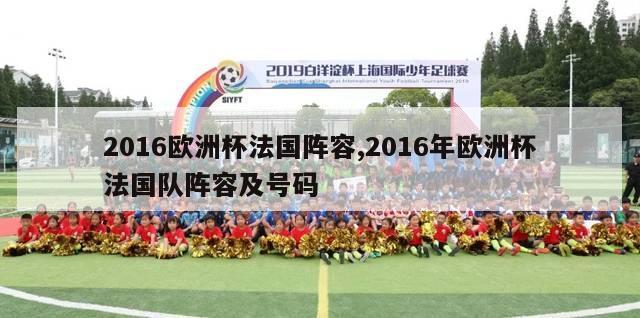 2016欧洲杯法国阵容,2016年欧洲杯法国队阵容及号码-第1张图片-