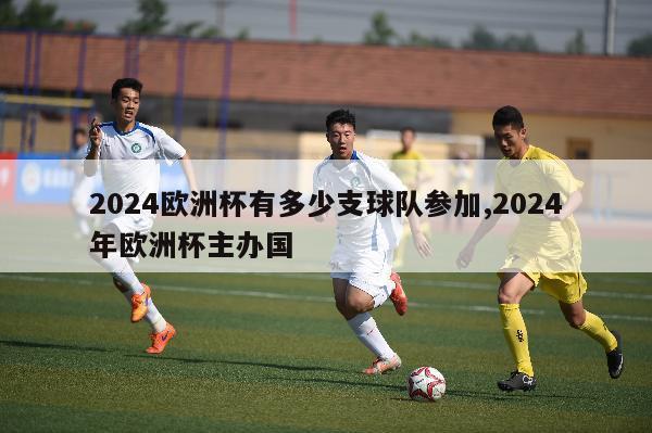 2024欧洲杯有多少支球队参加,2024年欧洲杯主办国-第1张图片-