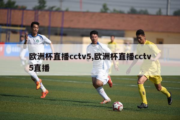 欧洲杯直播cctv5,欧洲杯直播cctv5直播-第1张图片-