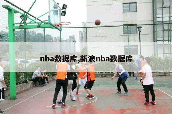 nba数据库,新浪nba数据库-第1张图片-