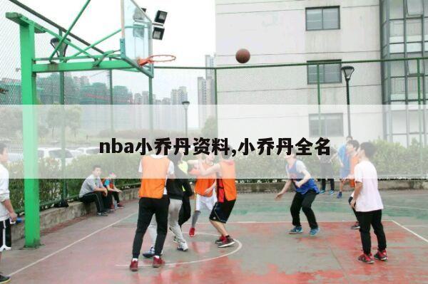 nba小乔丹资料,小乔丹全名-第1张图片-