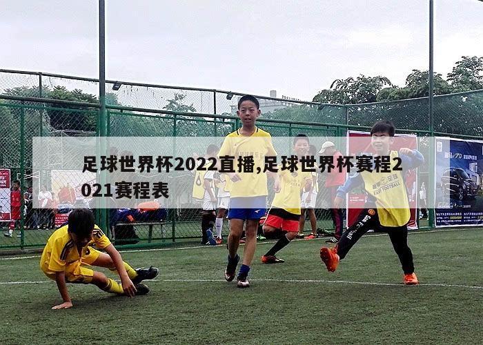 足球世界杯2022直播,足球世界杯赛程2021赛程表-第1张图片-