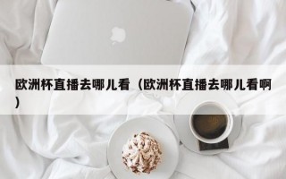 欧洲杯直播去哪儿看（欧洲杯直播去哪儿看啊）