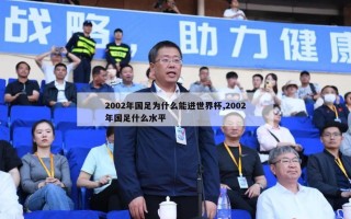 2002年国足为什么能进世界杯,2002年国足什么水平