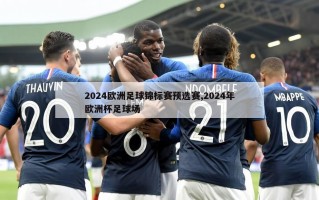 2024欧洲足球锦标赛预选赛,2024年欧洲杯足球场