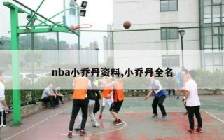 nba小乔丹资料,小乔丹全名