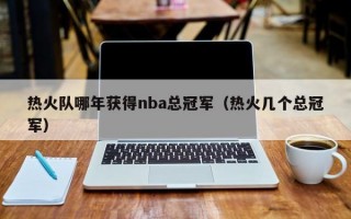 热火队哪年获得nba总冠军（热火几个总冠军）