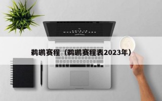 鹈鹕赛程（鹈鹕赛程表2023年）