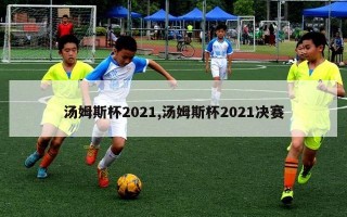 汤姆斯杯2021,汤姆斯杯2021决赛