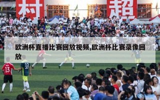 欧洲杯直播比赛回放视频,欧洲杯比赛录像回放