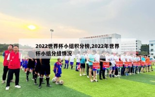 2022世界杯小组积分榜,2022年世界杯小组分组情况