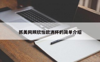 抓美网顾欣怡欧洲杯的简单介绍