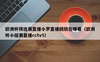 欧洲杯预选赛直播小罗直播回放在哪看（欧洲杯小组赛直播cctv5）