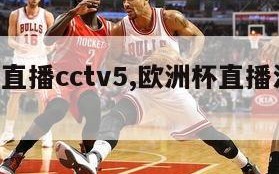 欧洲杯直播cctv5,欧洲杯直播法国VS荷兰