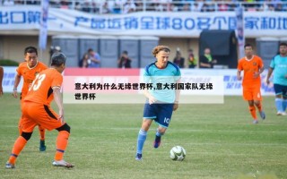 意大利为什么无缘世界杯,意大利国家队无缘世界杯