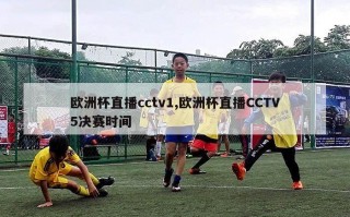 欧洲杯直播cctv1,欧洲杯直播CCTV5决赛时间