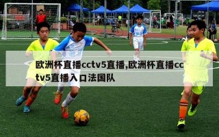 欧洲杯直播cctv5直播,欧洲杯直播cctv5直播入口法国队