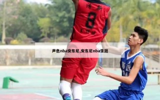 声色nba安东尼,安东尼nba生涯