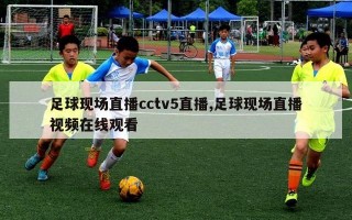 足球现场直播cctv5直播,足球现场直播视频在线观看