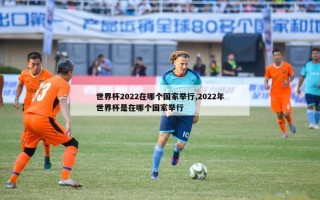 世界杯2022在哪个国家举行,2022年世界杯是在哪个国家举行