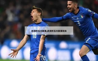 欧洲杯五大联赛,欧洲杯五大联赛球员