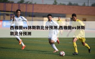 西雅图vs休斯敦比分预测,西雅图vs休斯敦比分预测