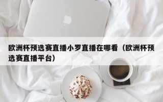 欧洲杯预选赛直播小罗直播在哪看（欧洲杯预选赛直播平台）