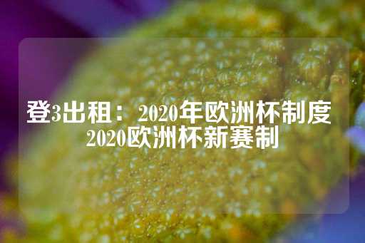 登3出租：2020年欧洲杯制度 2020欧洲杯新赛制-第1张图片-