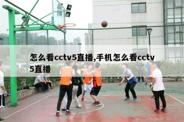 怎么看cctv5直播,手机怎么看cctv5直播-第1张图片-