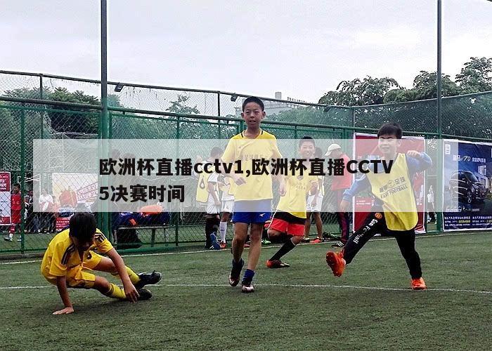 欧洲杯直播cctv1,欧洲杯直播CCTV5决赛时间-第1张图片-