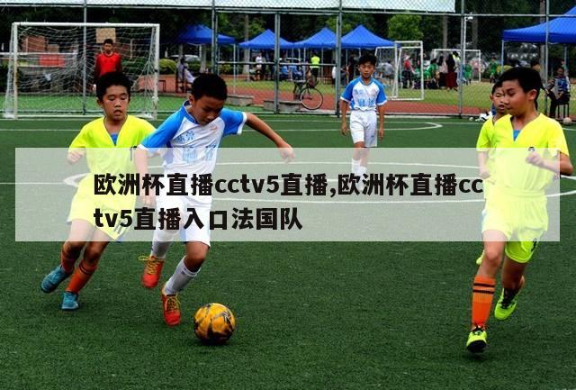 欧洲杯直播cctv5直播,欧洲杯直播cctv5直播入口法国队-第1张图片-