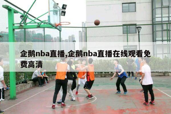 企鹅nba直播,企鹅nba直播在线观看免费高清-第1张图片-