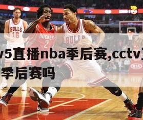 cctv5直播nba季后赛,cctv直播nba季后赛吗-第1张图片-